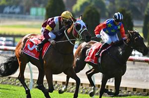 Big Bets Results - Aug 10
