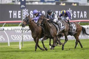 Randwick Blackbookers