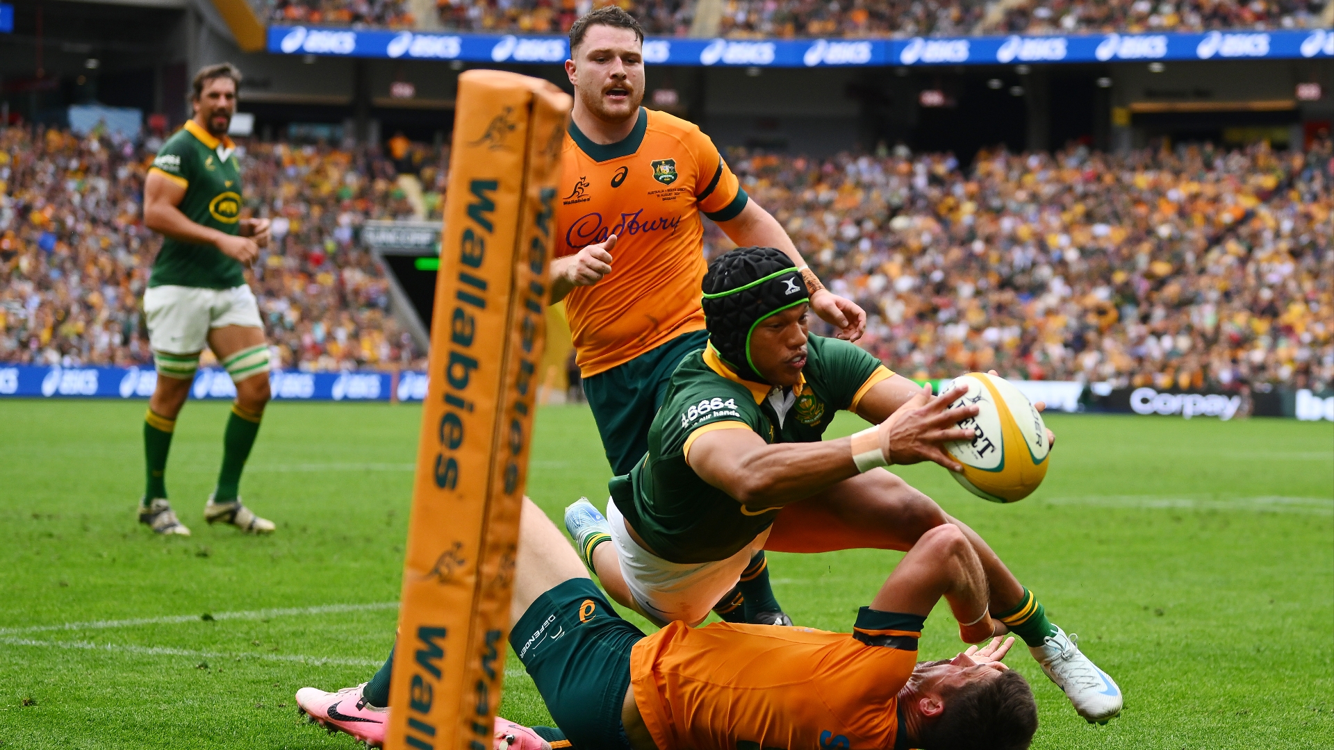 Australia vs South Africa Tips Springboks to repeat victory over Wallabies in Rugby Championship
