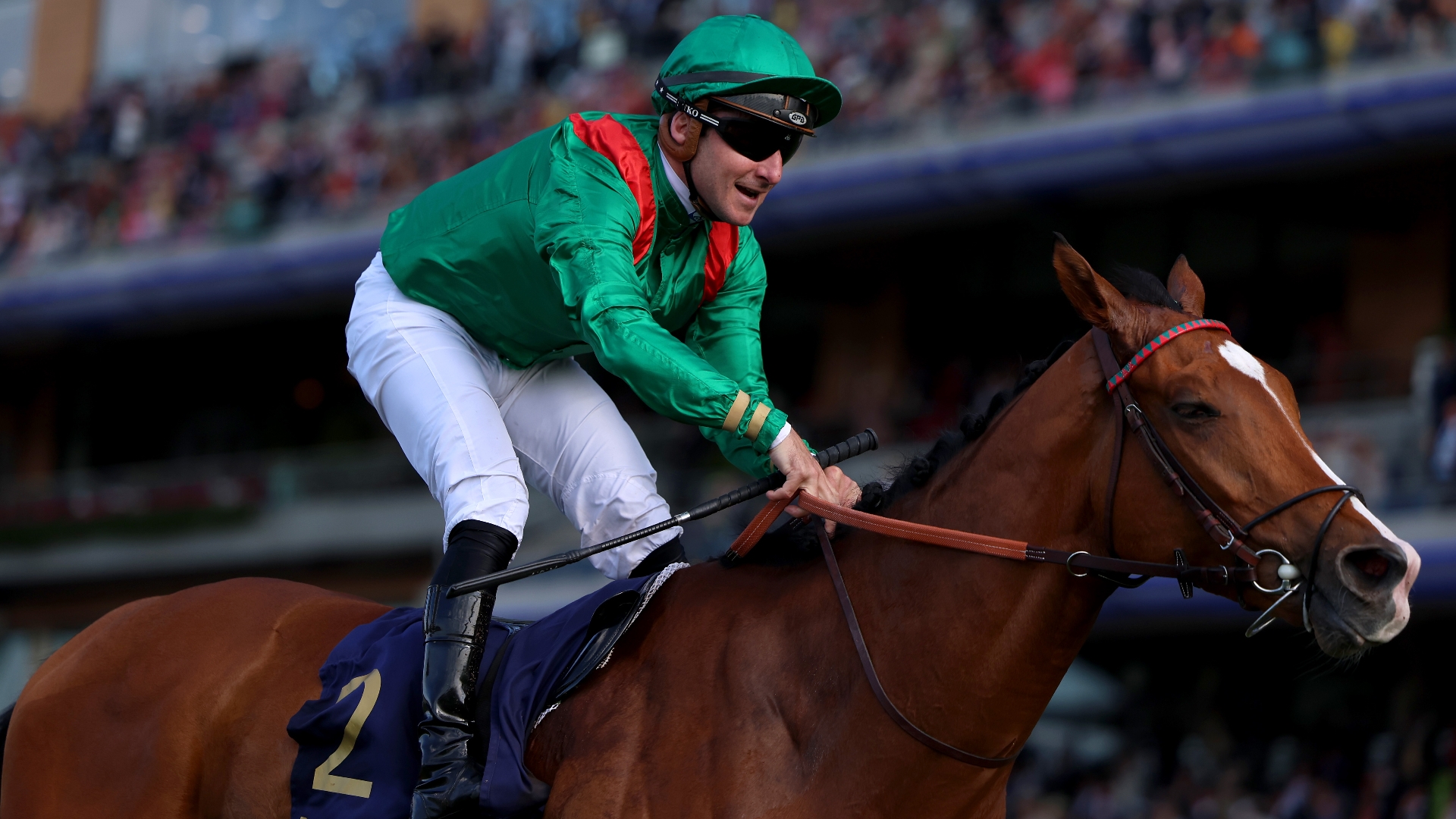 2025 Juddmonte International Stakes News Quotes from connections