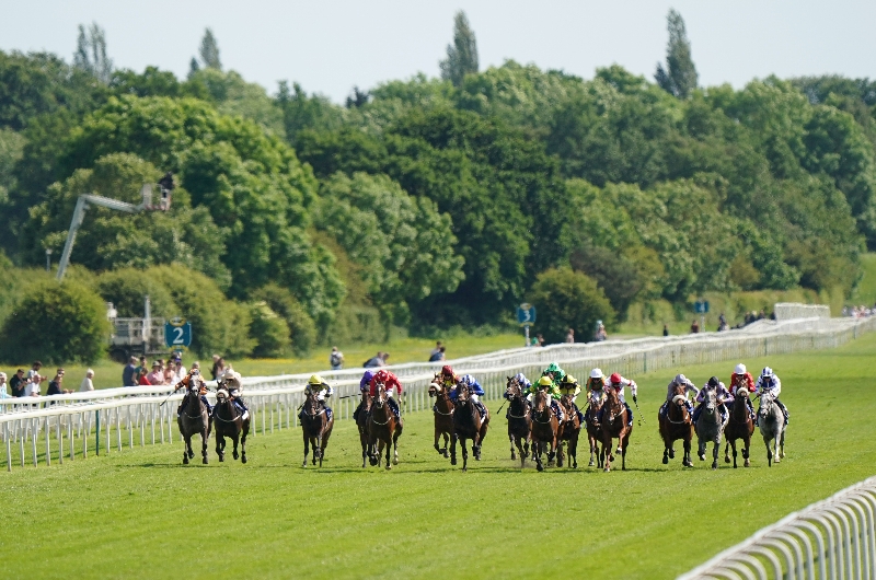 york handicap sprint york handicap sprint