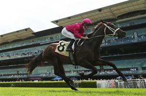 Winx Stakes 2024 Barrier Draw & Final Field