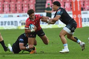 lions rugby
