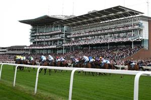 york races