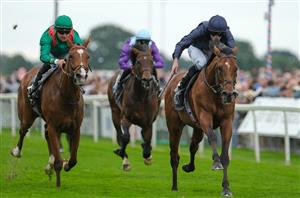 "Straight to the Classic" - City Of Troy handed Breeders' Cup target