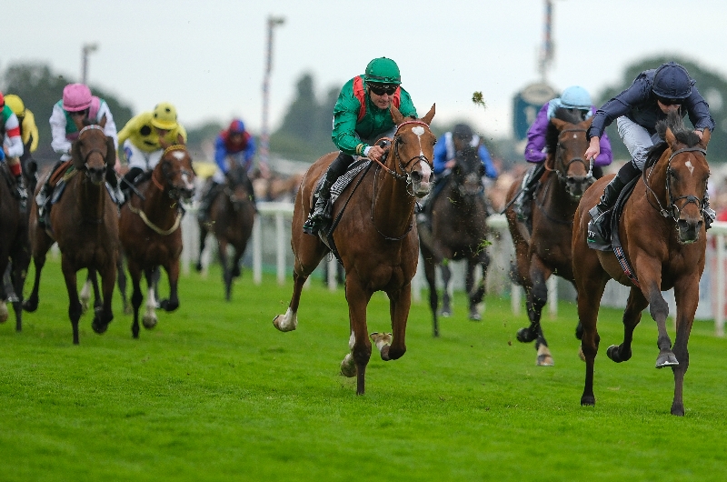 juddmonte international