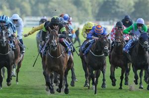 Six beaten horses to follow from 2024 Ebor Festival
