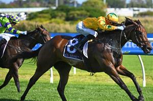 Moir Stakes 2024 Barrier Draw & Final Field