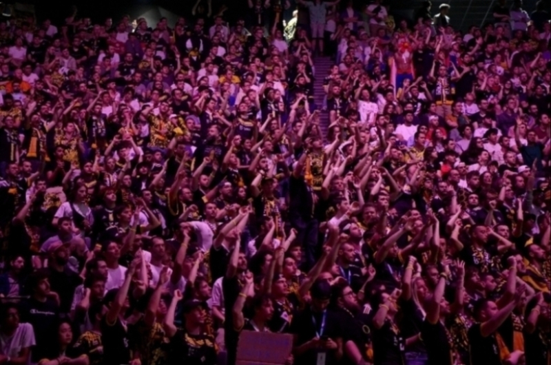 Esports fans