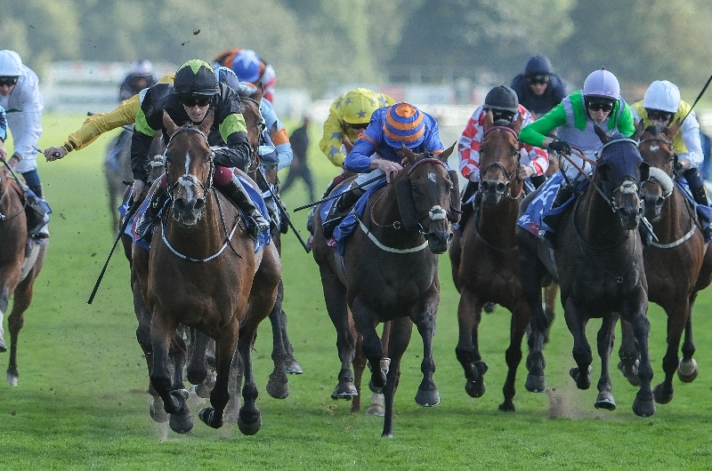 ebor york