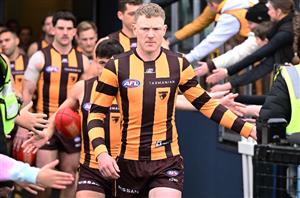 Western Bulldogs vs Hawthorn Tips - Dynamic Hawks too slick for the Bulldogs