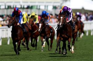 2024 Melbourne Cup Entries - Five European Raiders To Watch