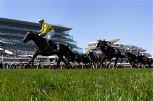 2024 Melbourne Cup Odds - Vauban and Buckaroo lead Flemington betting