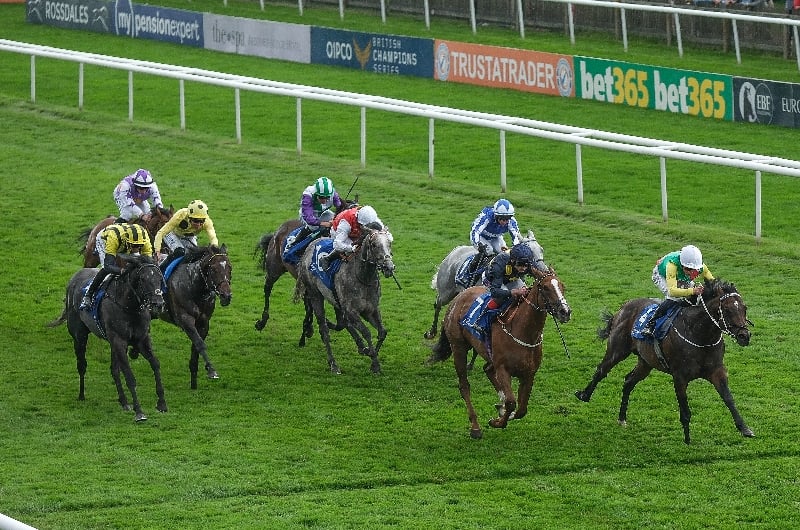 july cup newmarket july cup newmarket