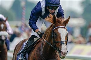 "He's got great potential" - Economics aiming for Champion Stakes double