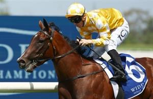 Moir Stakes Tips - Runner-by-Runner Guide for the Moonee Valley Group 1