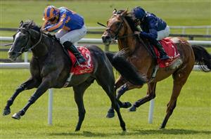 "He’s all quality" - O'Brien backing Auguste Rodin to bounce back at Leopardstown