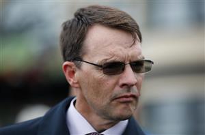 Irish Champions Weekend News - Aidan O'Brien Stable Tour