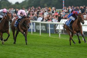 You Got To Me supplemented for St Leger - Ancient Wisdom to wait for soft ground