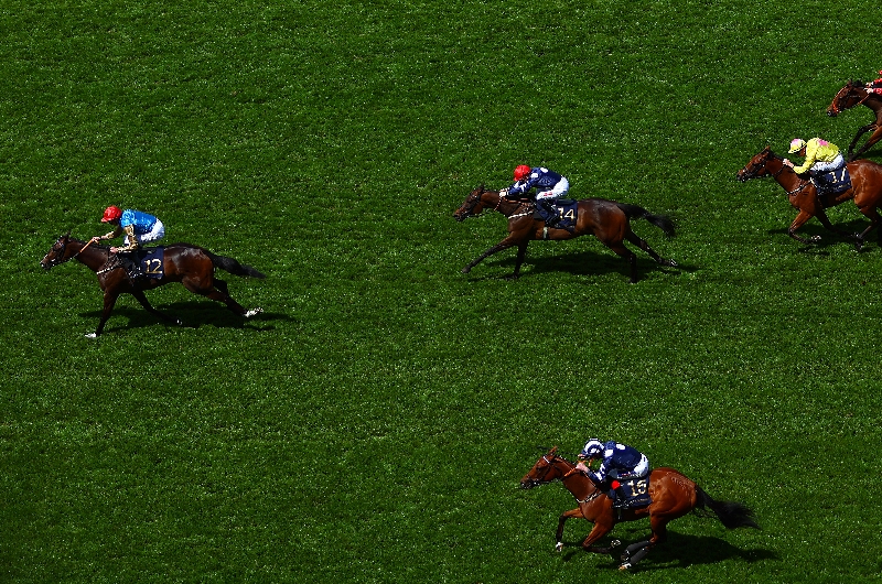 queen mary stakes queen mary stakes