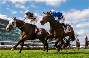 Makybe Diva Stakes Tips - Can Pride Of Jenni bounce back in the Makybe Diva Stakes?