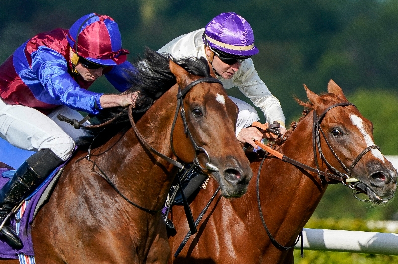 luxembourg leopardstown luxembourg leopardstown