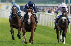 2024 Irish Champion Stakes Tips - Is there value against Economics at Leopardstown?