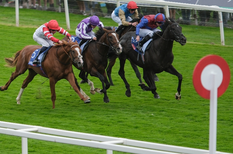 great voltigeur stakes