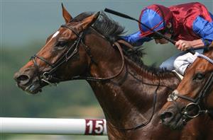 2024 St Leger Result and Replay - Jan Brueghel edges out Illinois in a thrilling Classic finish
