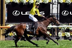 2024 Melbourne Cup Weights - Defending champion Without A Fight tops ratings