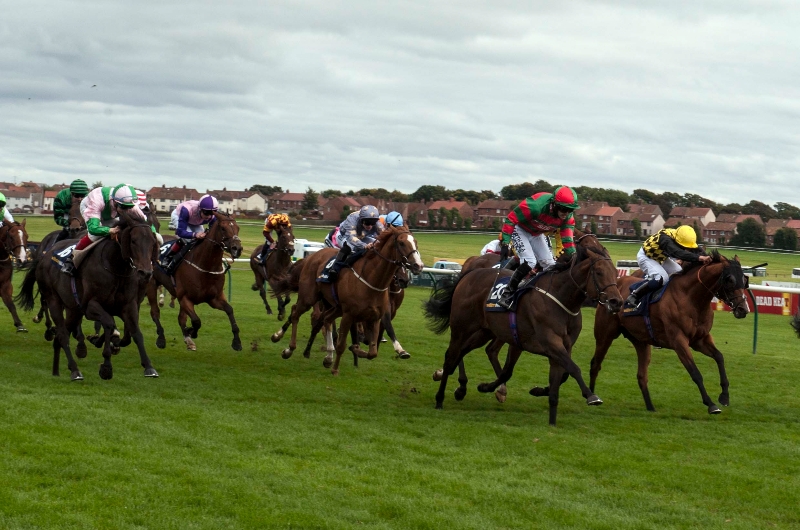 Ayr Gold Cup 2025 Tips Donna Gayleen