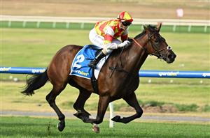 Underwood Stakes 2024 Barrier Draw & Final Field