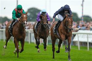 2024 Breeders' Cup Classic Odds - City Of Troy the new favourite