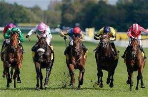 mill reef stakes