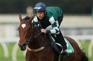 Underwood Stakes Tips - Runner-by-Runner Guide for the Caulfield Group 1