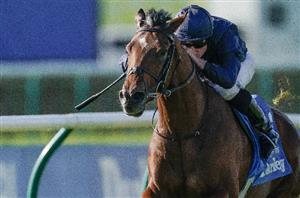 "We've tried to tick all the boxes" - O'Brien pleased with City Of Troy's gallop at Southwell