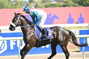 Manikato Stakes 2024 Barrier Draw & Final Field