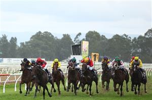 Hawkesbury Tips for 26.09.2024