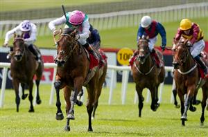 "She's just a pleasure to train" - Lyons to unleash star filly Babouche at Newmarket