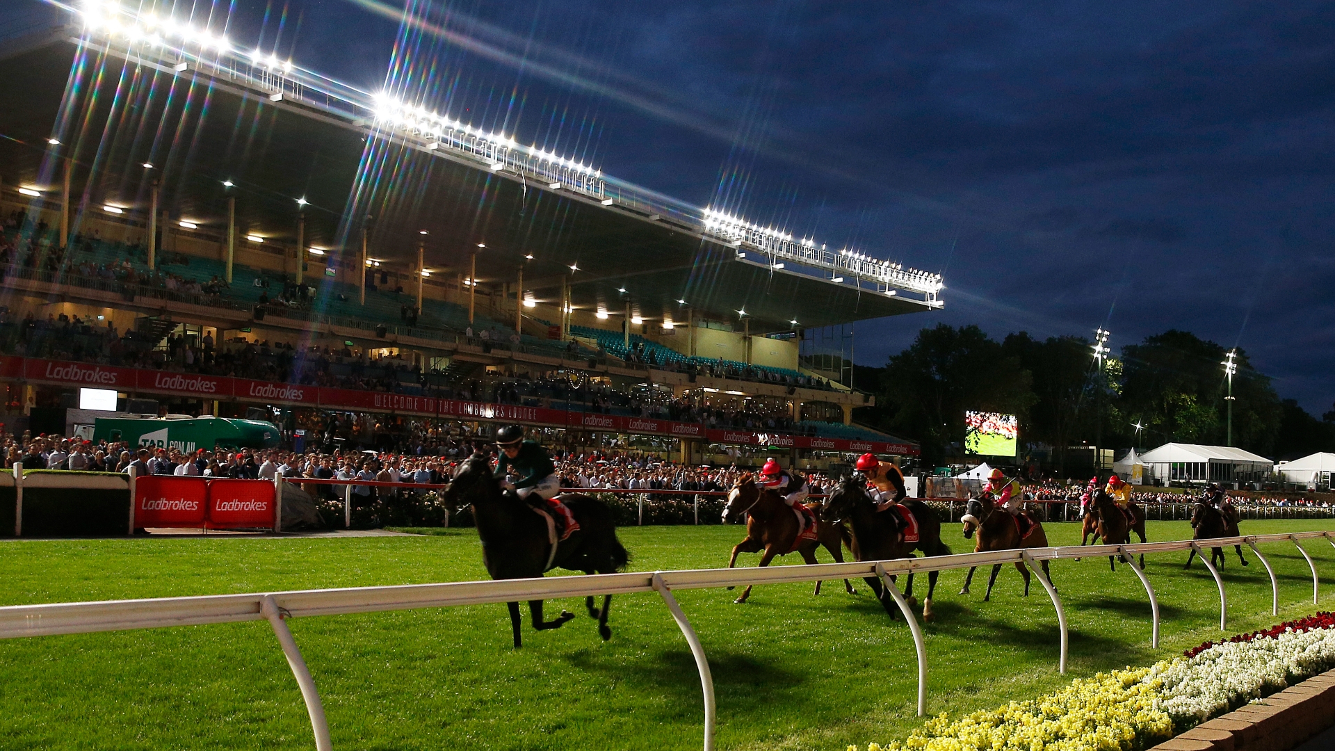 Moonee Valley Betting Tips for September 27, 2024 Best Bets for