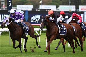 Big Bets for GF Weekend