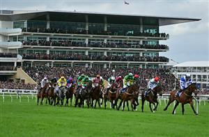 cheltenham festival 2024