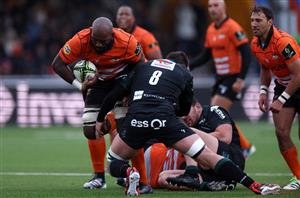 Cheetahs rugby