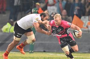 pumas currie cup rugby
