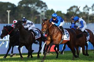 Epsom Handicap 2024 Barrier Draw & Final Field