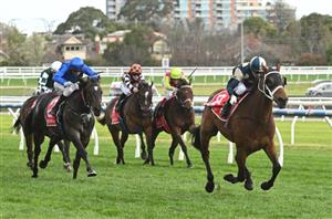 Turnbull Stakes 2024 Barrier Draw & Final Field