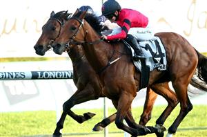 The Metropolitan Tips - Land Legend to prevail in wide-open Metropolitain