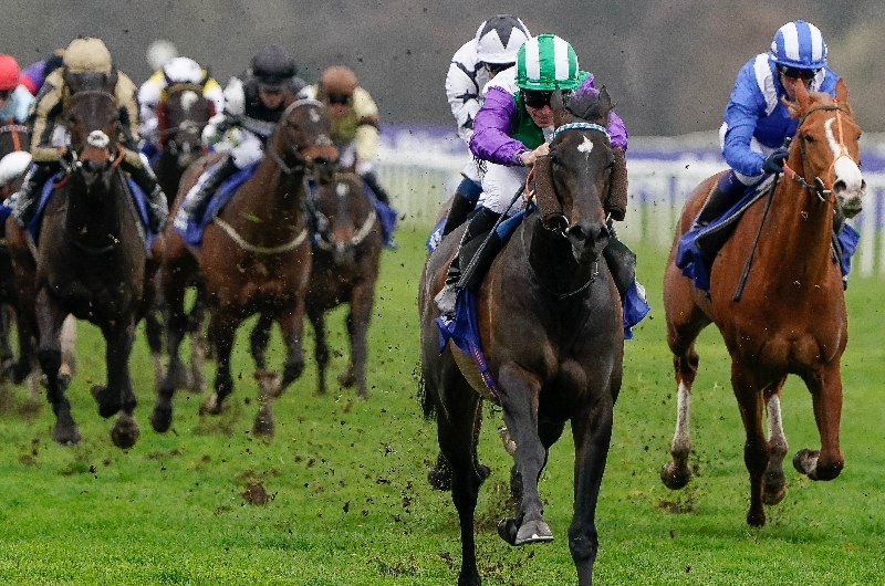 vadream stakes