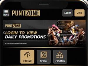 Puntzone