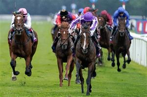 Arc Betting Update 4.10.24 - Two outsiders being backed